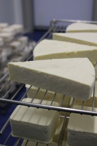 La fromagerie est chauffée grâce aux plaquettes de bois produites sur l’exploitation. 